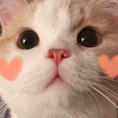 Yusuf Kalla avatar