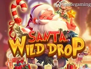 Santa Wild Drop game cover
